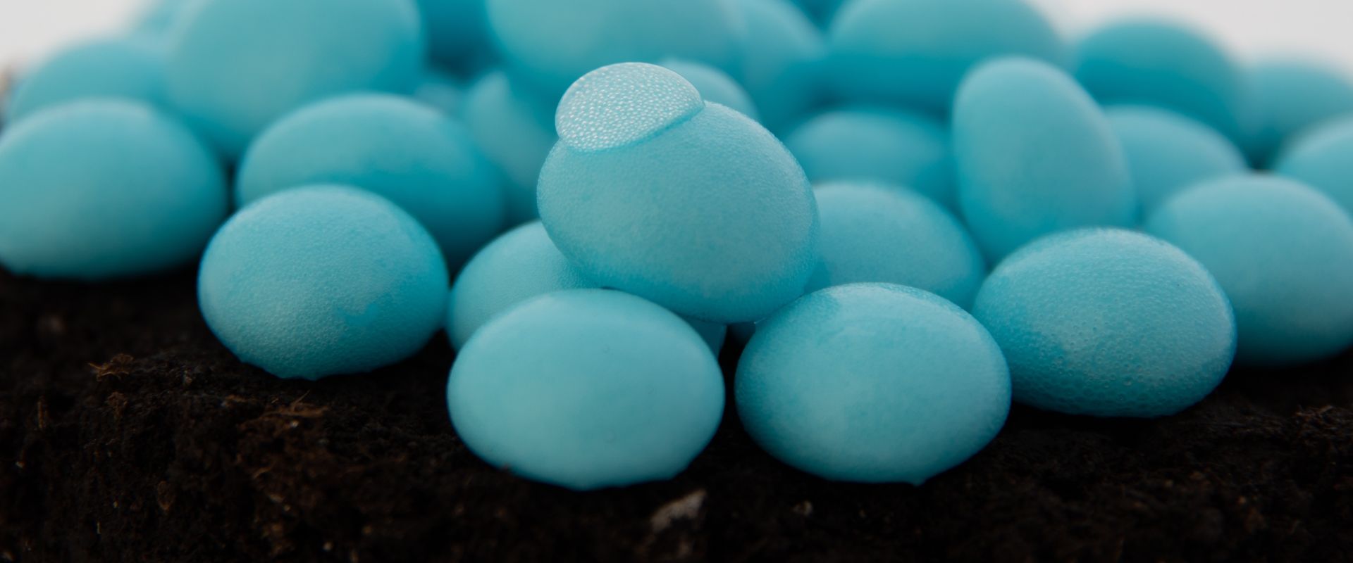 WaterPearls — organic, super-hydrophobic beads the size of a small grape