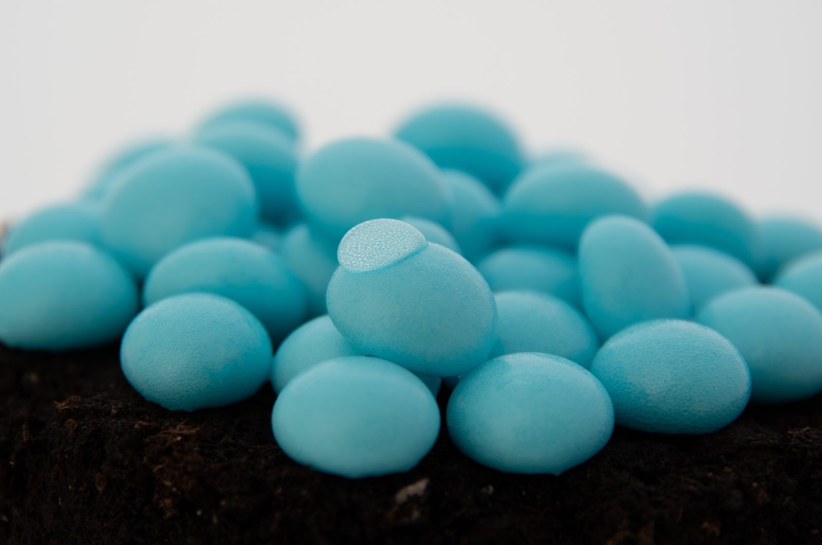 WaterPearls — organic, super-hydrophobic beads resting on dark soil
